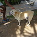 Vasco
