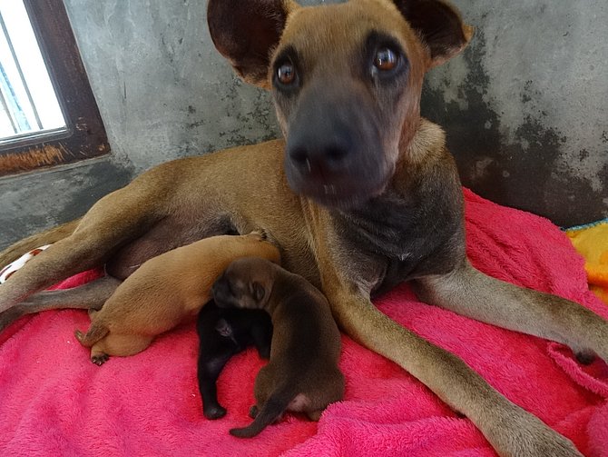 Mommy+2