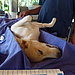 Marie and Luise