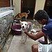 Sally
