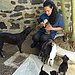 Emma and puppies