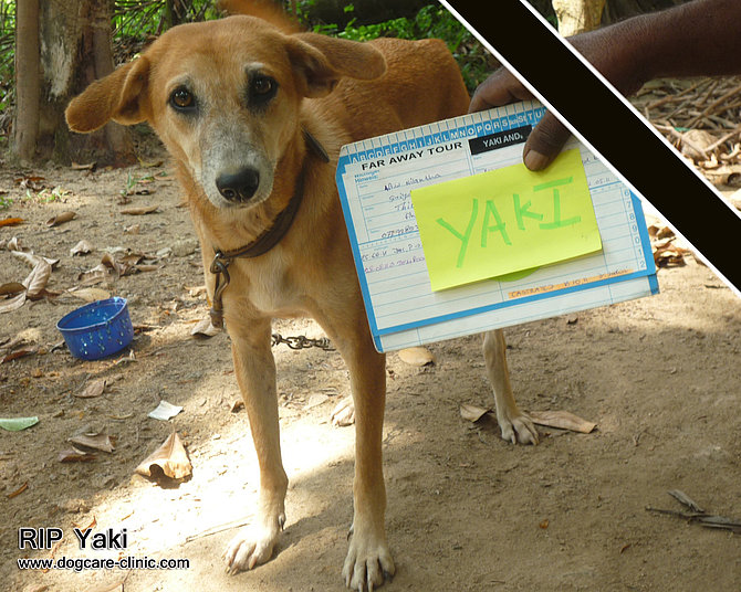 Yaki