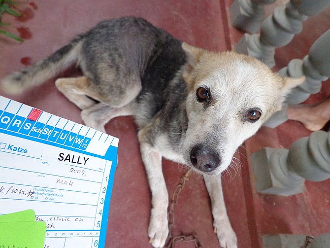 Sally