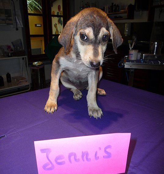 Jennis