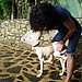 Krish