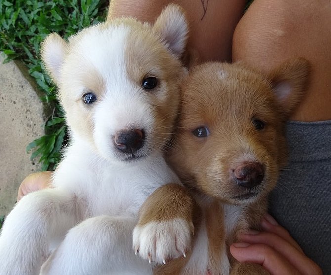 Marie and Luise