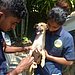 Sanju