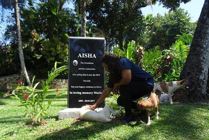Aisha